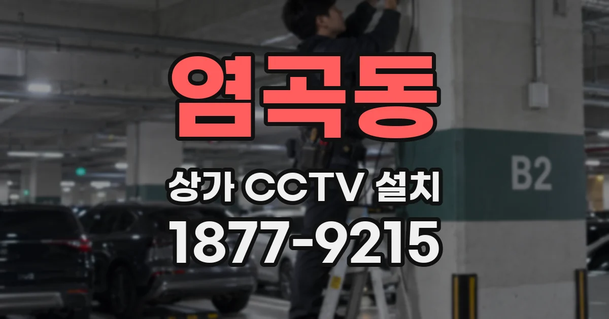염곡동 상가 CCTV 설치