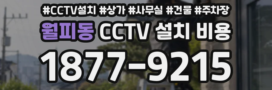 월피동 CCTV 설치 비용
