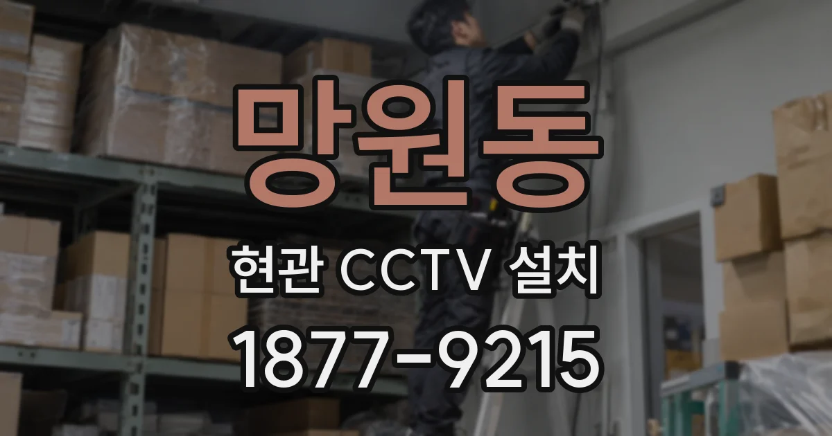 망원동 현관 CCTV 설치