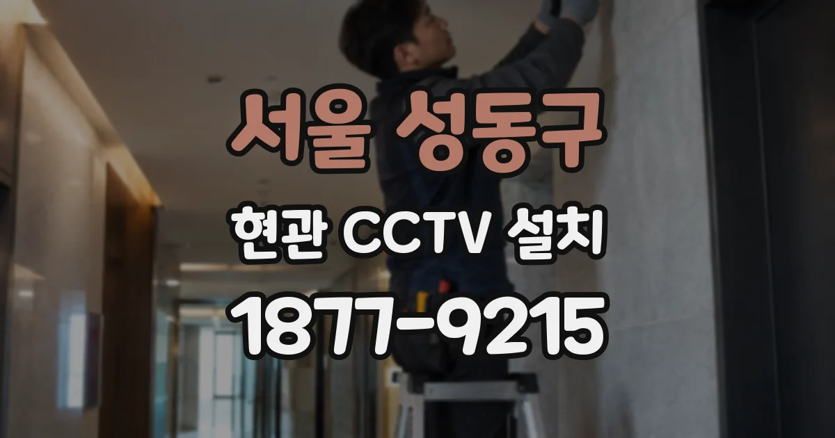 서울 성동구 현관 CCTV 설치