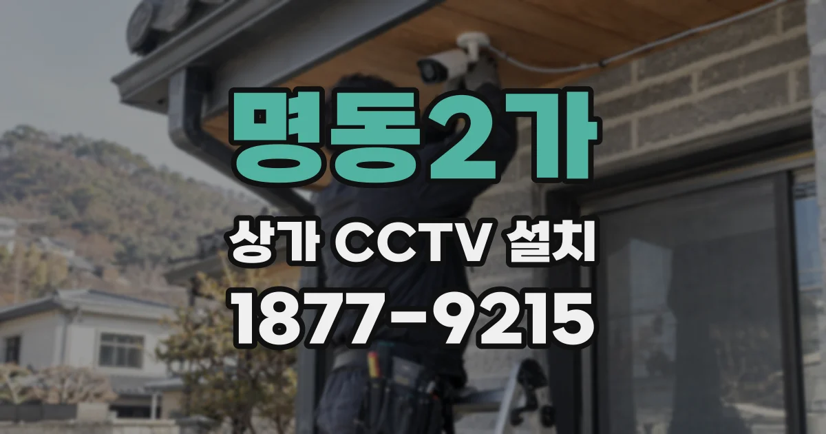 명동2가 상가 CCTV 설치
