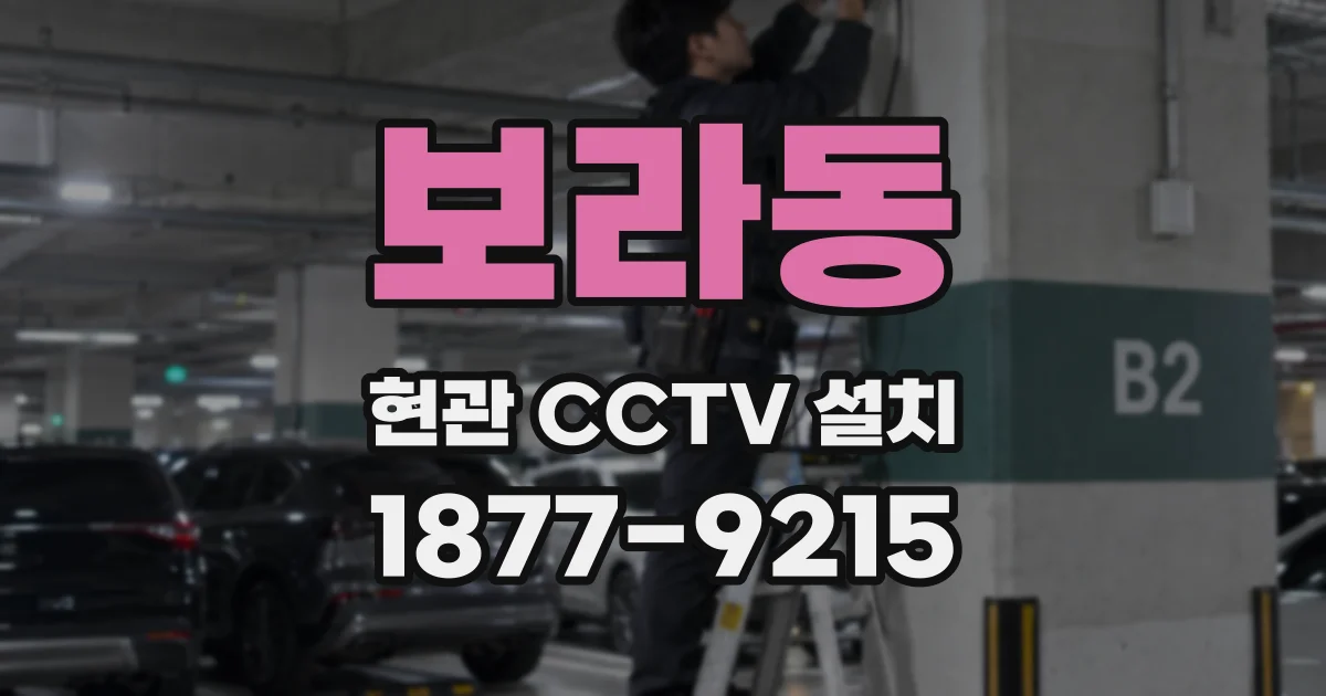보라동 현관 CCTV 설치