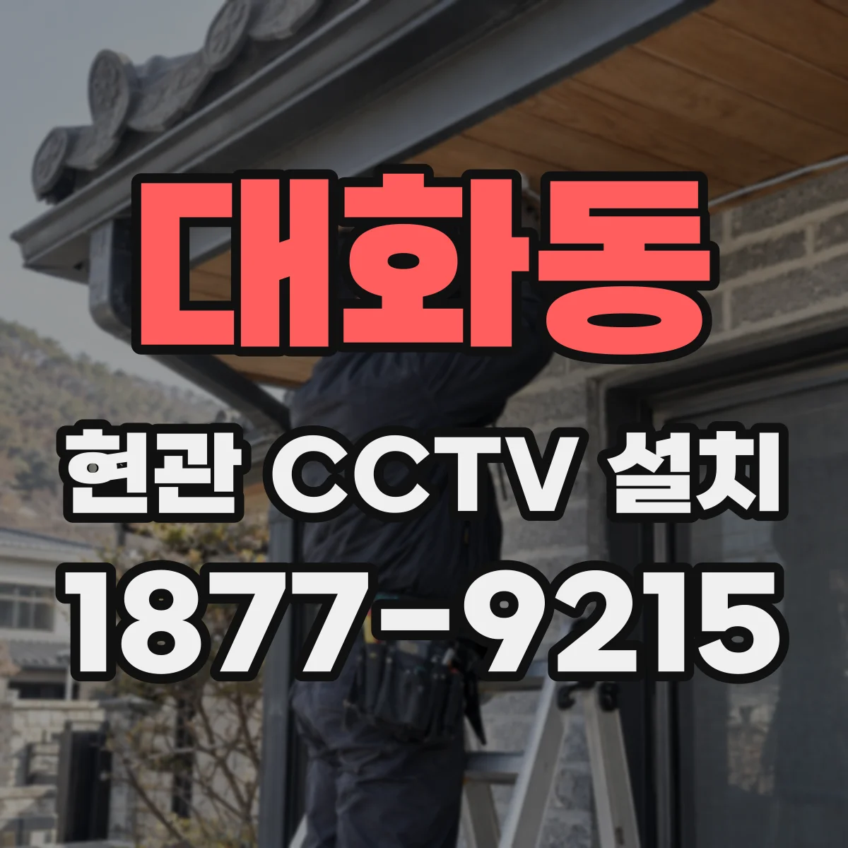 대화동 현관 CCTV 설치