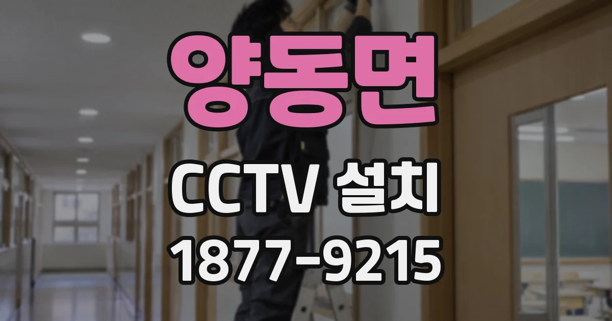 양동면 CCTV 설치