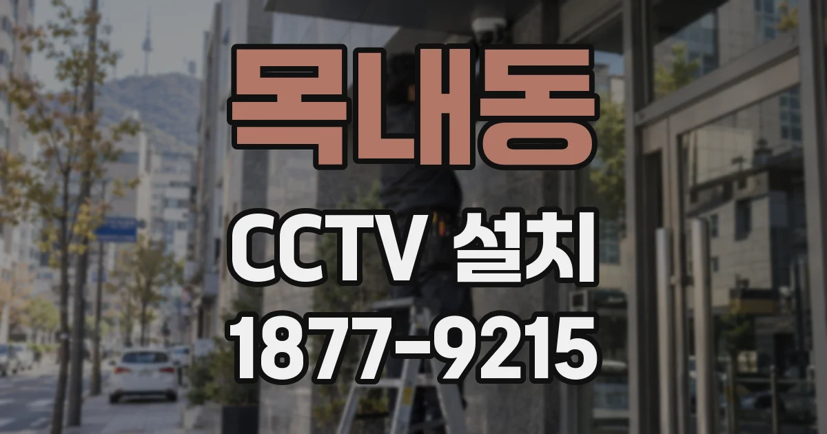 목내동 CCTV 설치