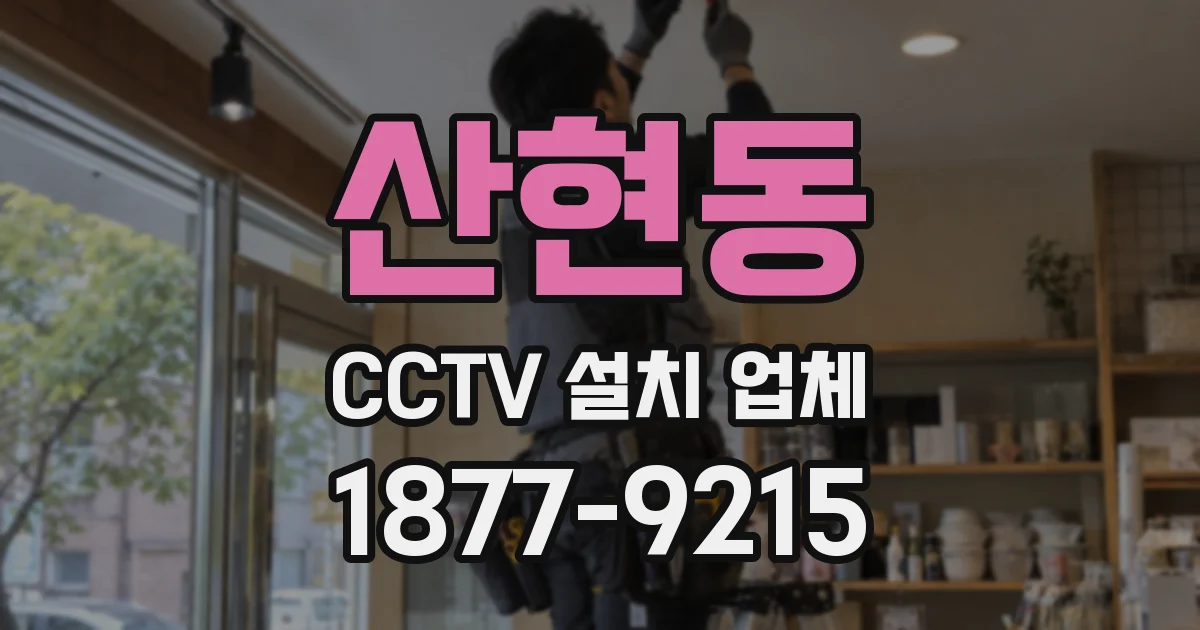 산현동 CCTV 설치 업체