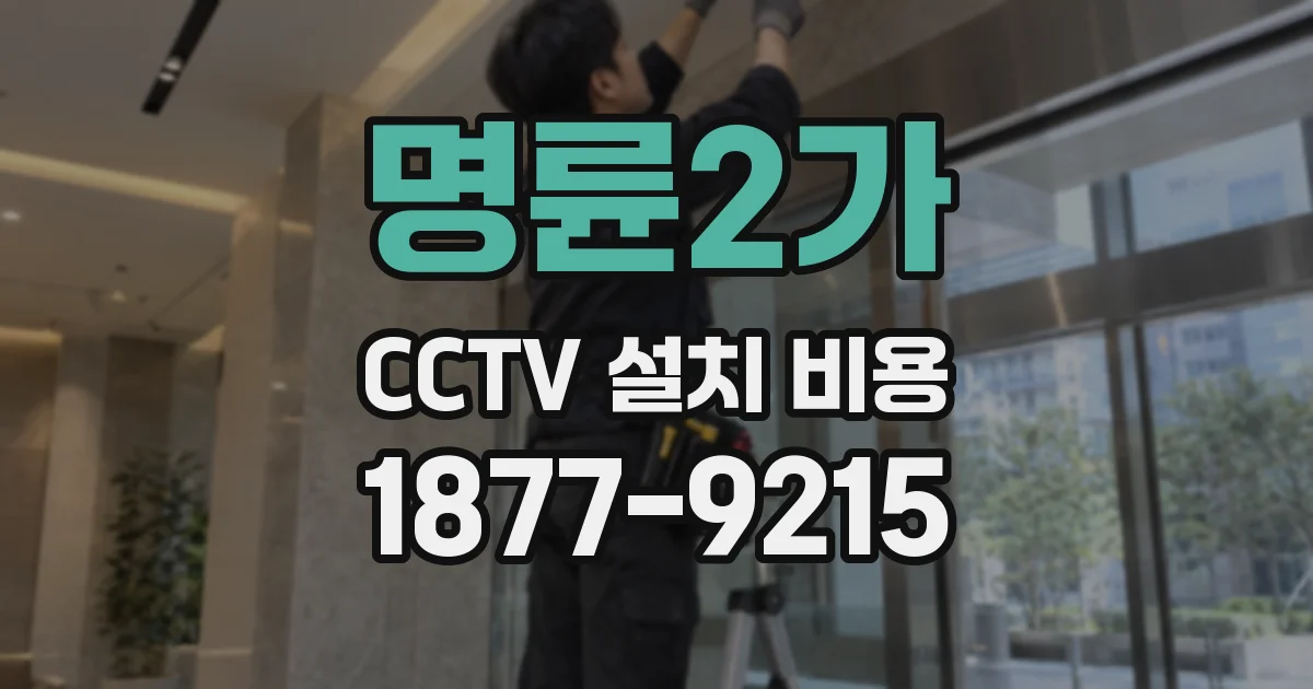 명륜2가 CCTV 설치 비용