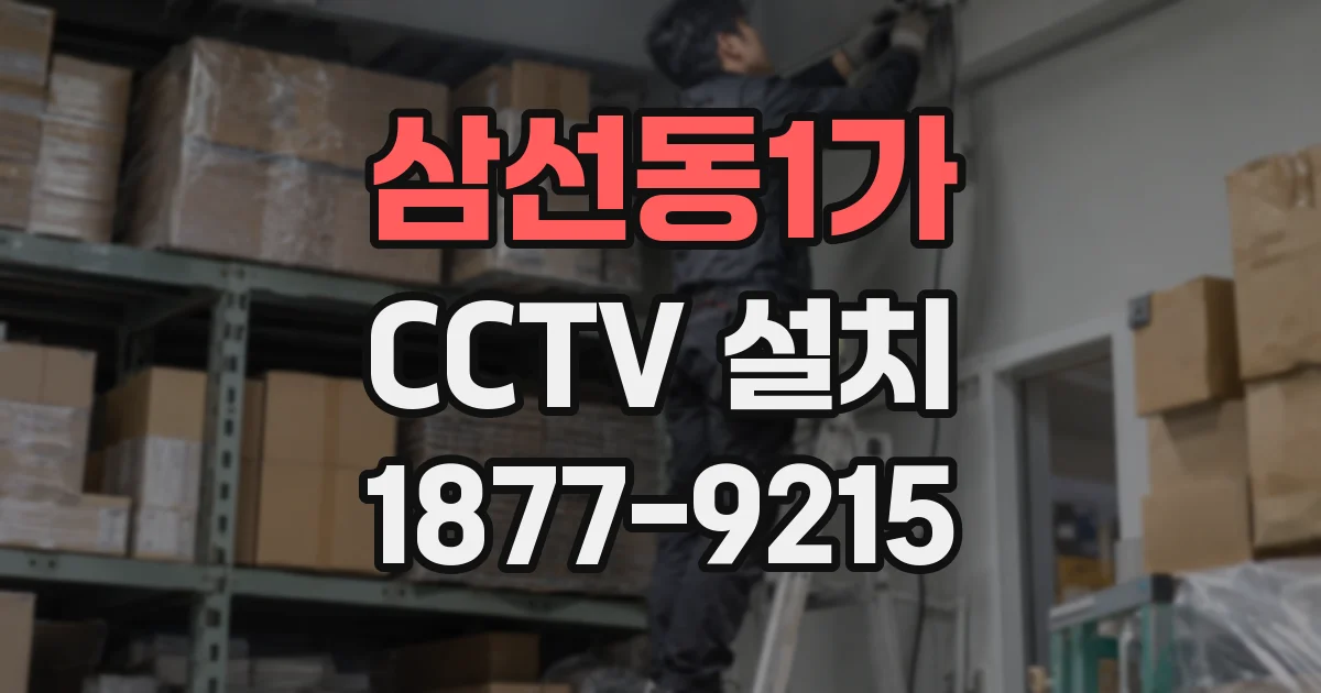 삼선동1가 CCTV 설치