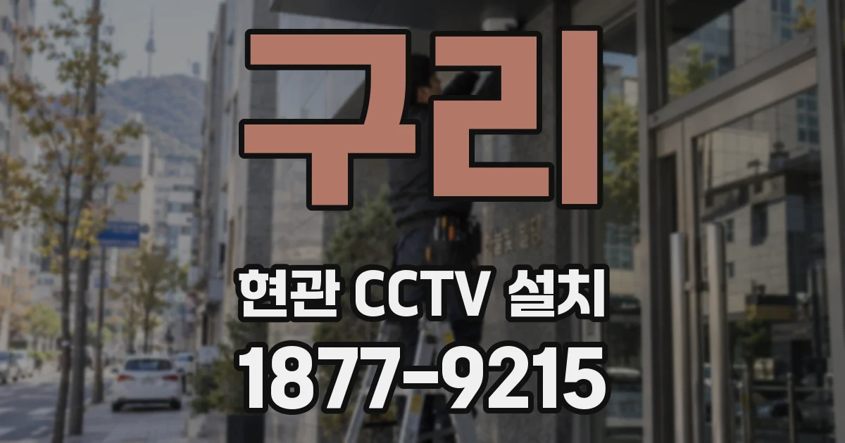 구리 현관 CCTV 설치