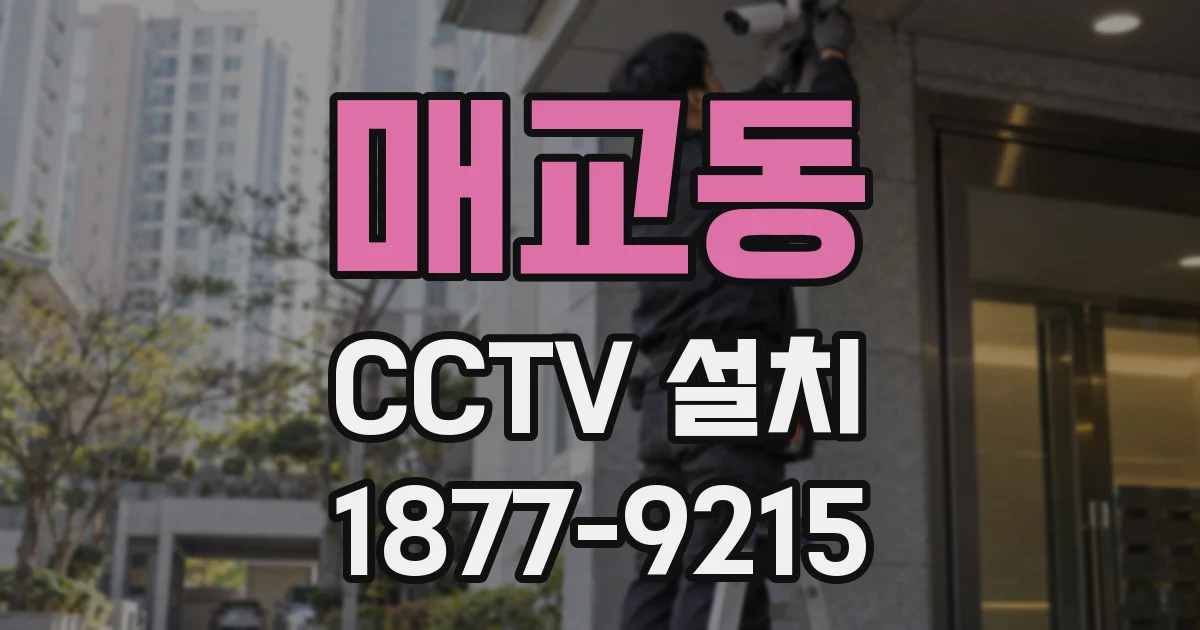 매교동 CCTV 설치