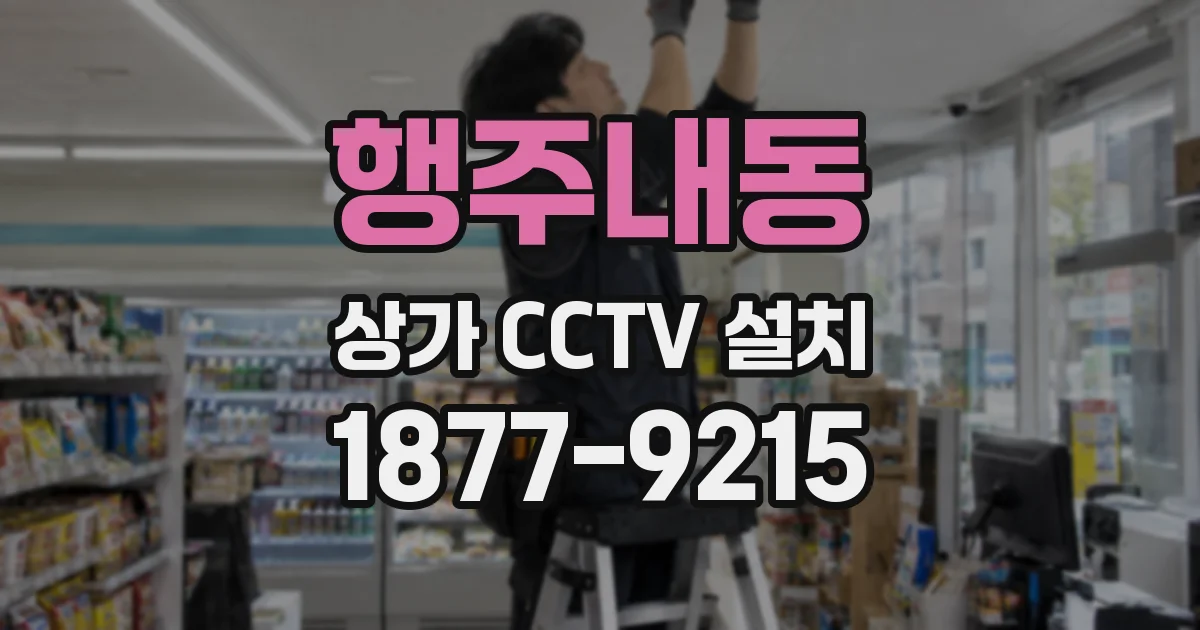 행주내동 상가 CCTV 설치