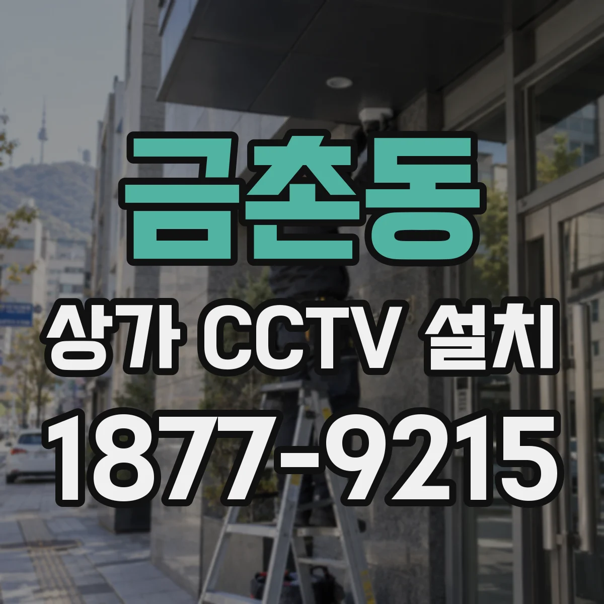 금촌동 상가 CCTV 설치