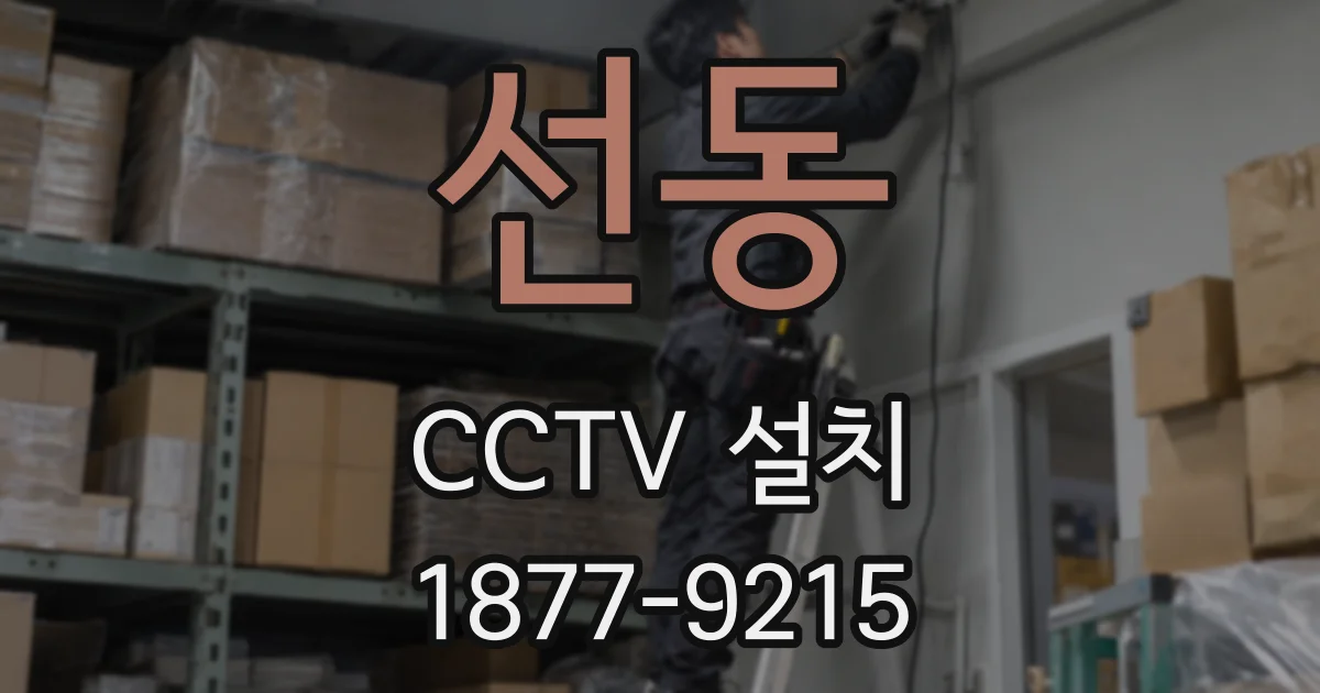 선동 CCTV 설치