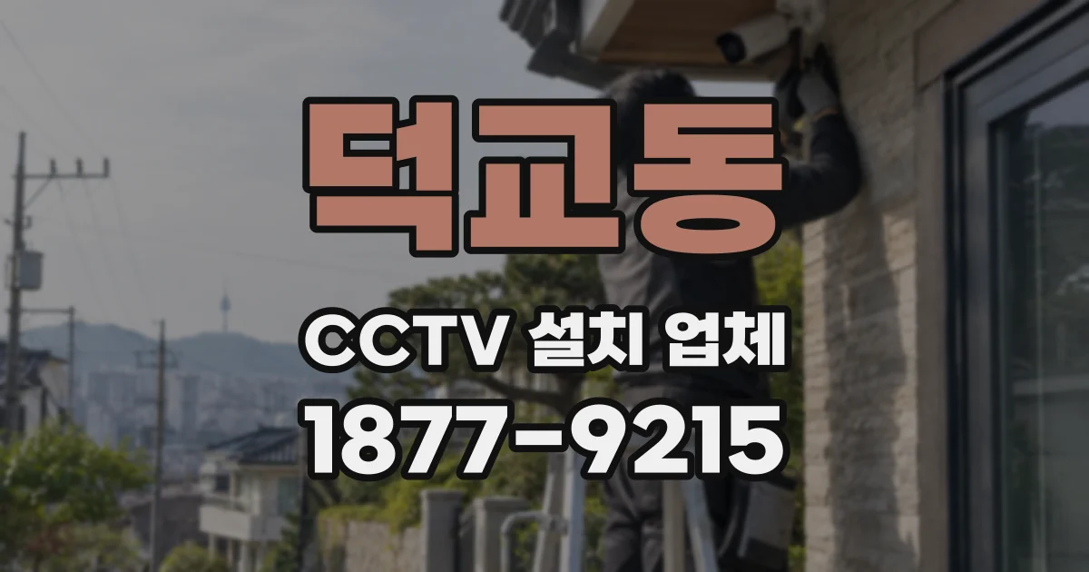 덕교동 CCTV 설치 업체