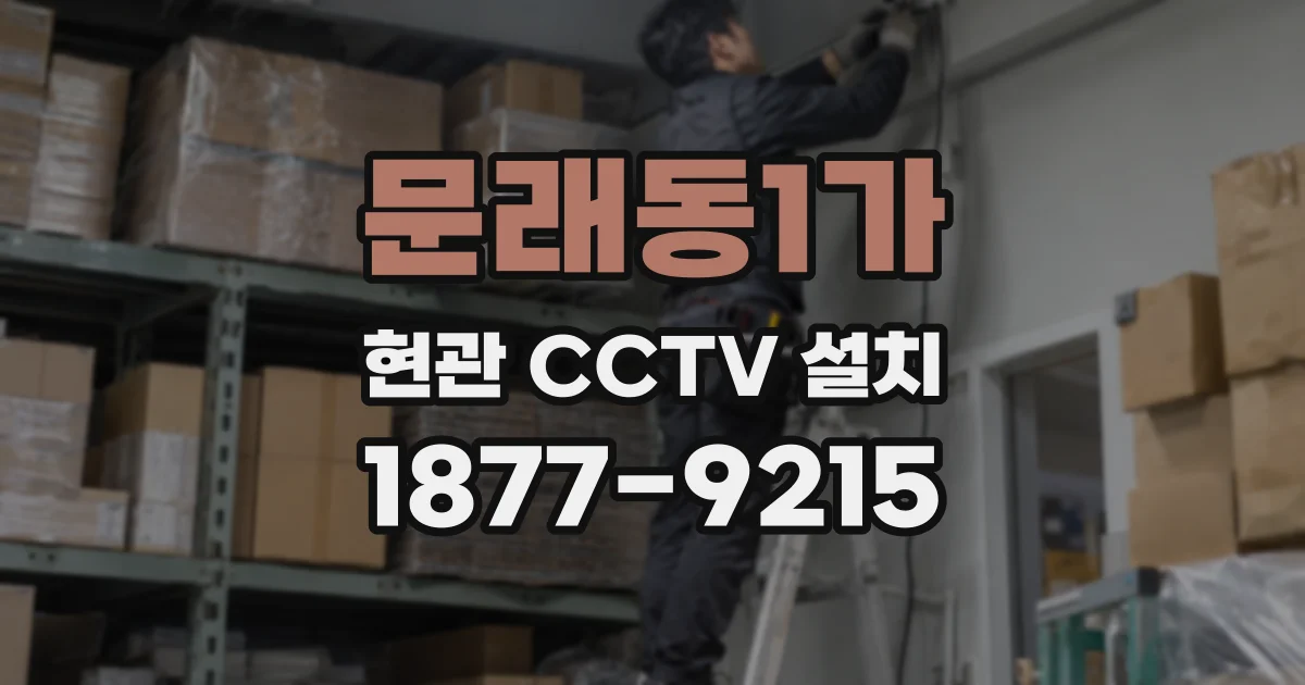 문래동1가 현관 CCTV 설치