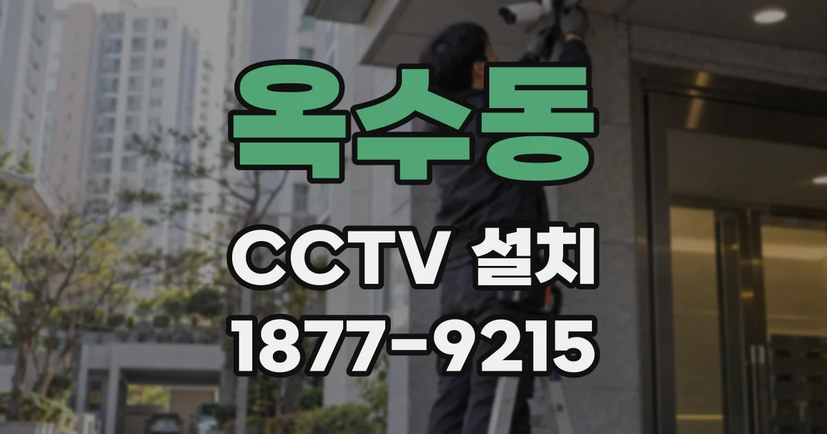 옥수동 CCTV 설치