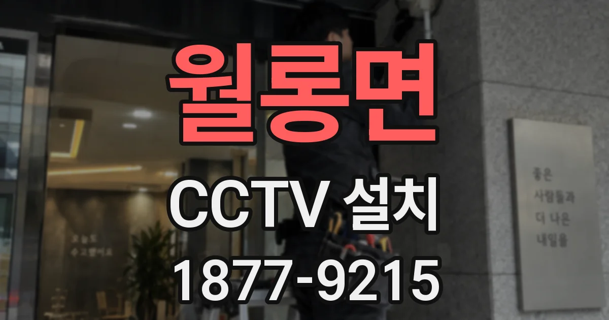월롱면 CCTV 설치