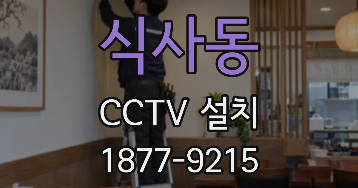 식사동 CCTV 설치