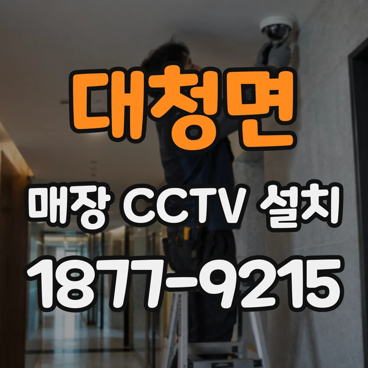 대청면 매장 CCTV 설치