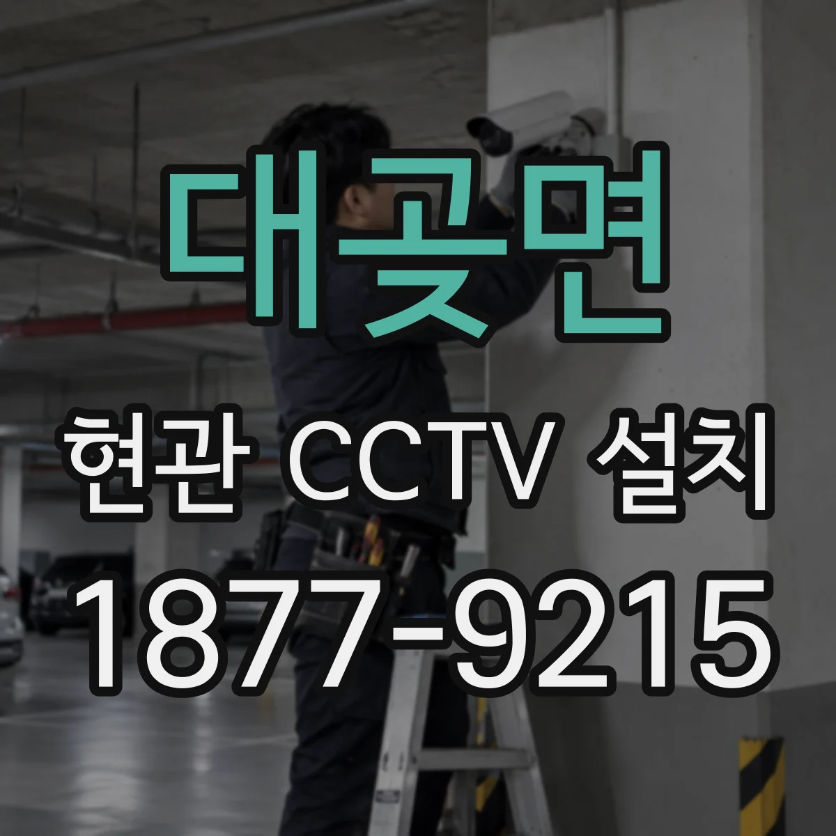 대곶면 현관 CCTV 설치