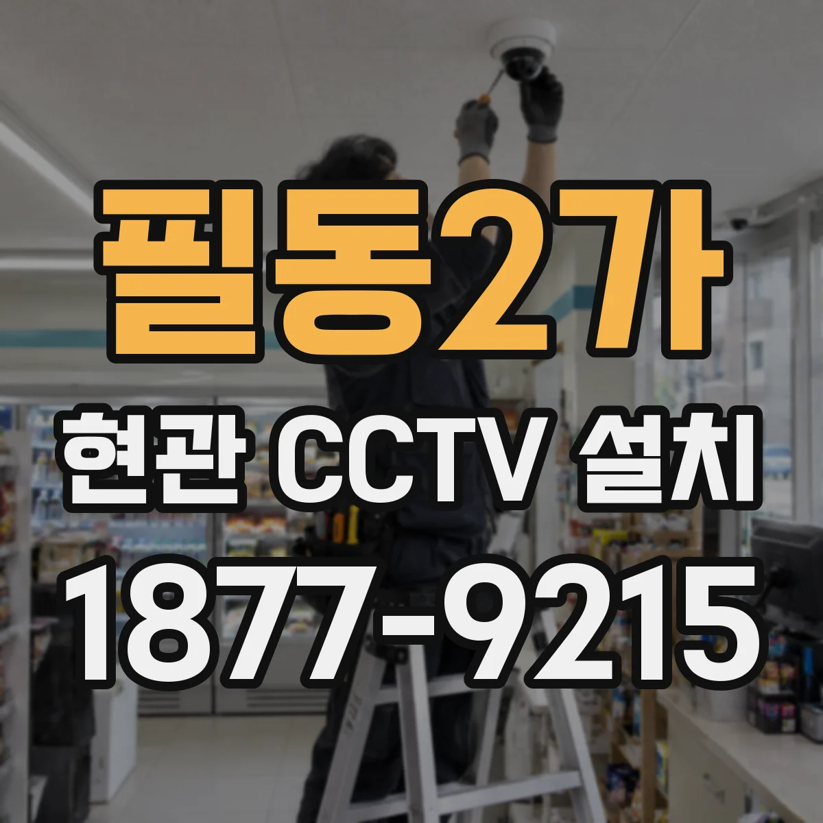 필동2가 현관 CCTV 설치