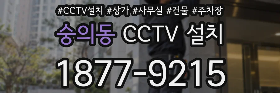 숭의동 CCTV 설치