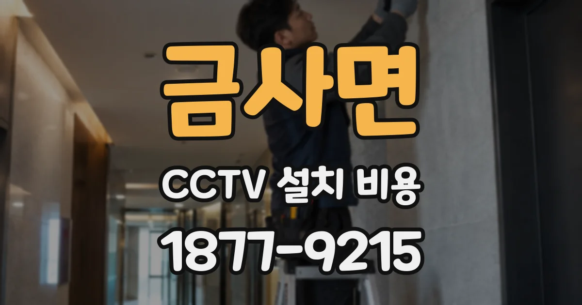 금사면 CCTV 설치 비용