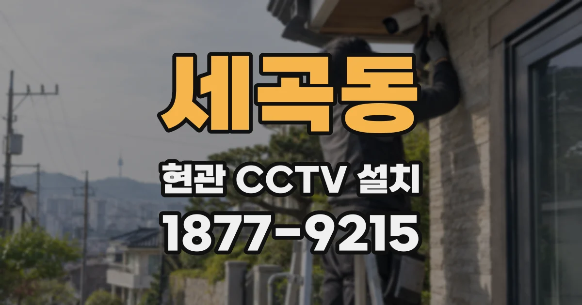 세곡동 현관 CCTV 설치
