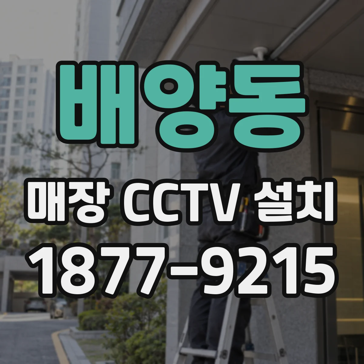 배양동 매장 CCTV 설치