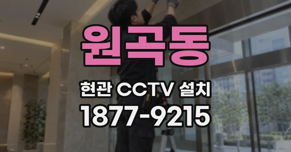 원곡동 현관 CCTV 설치