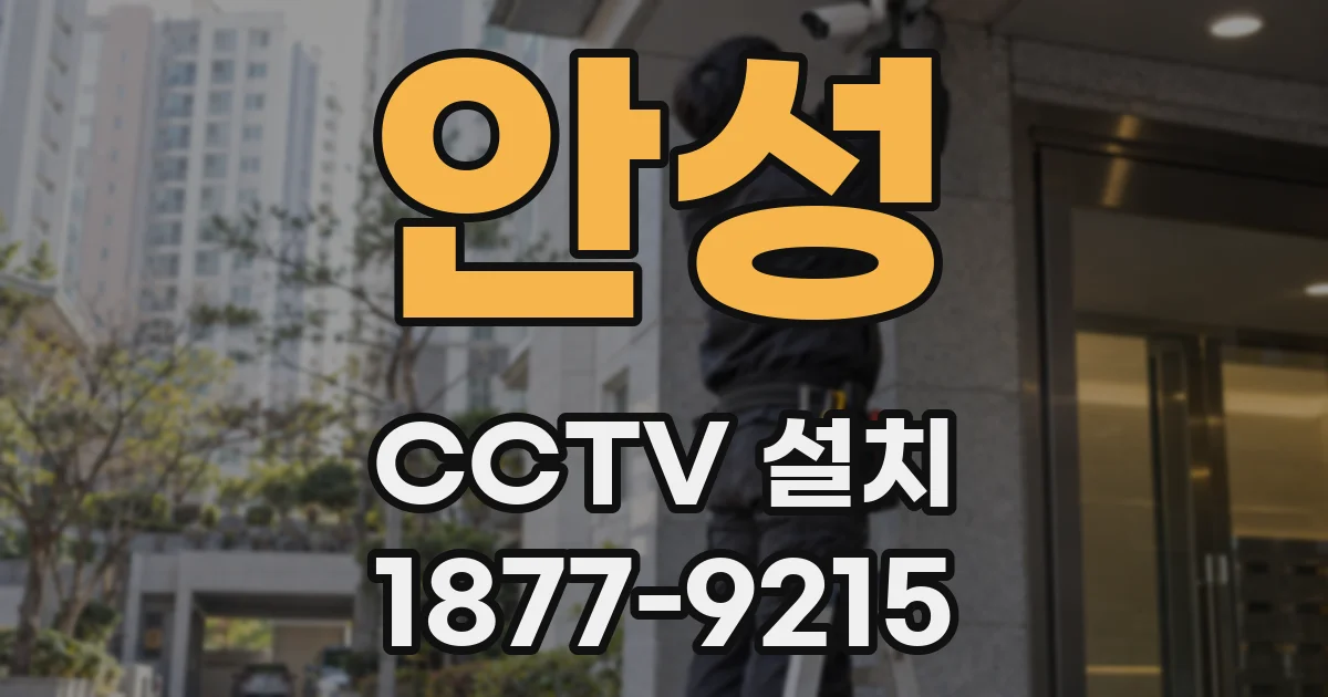 안성 CCTV 설치