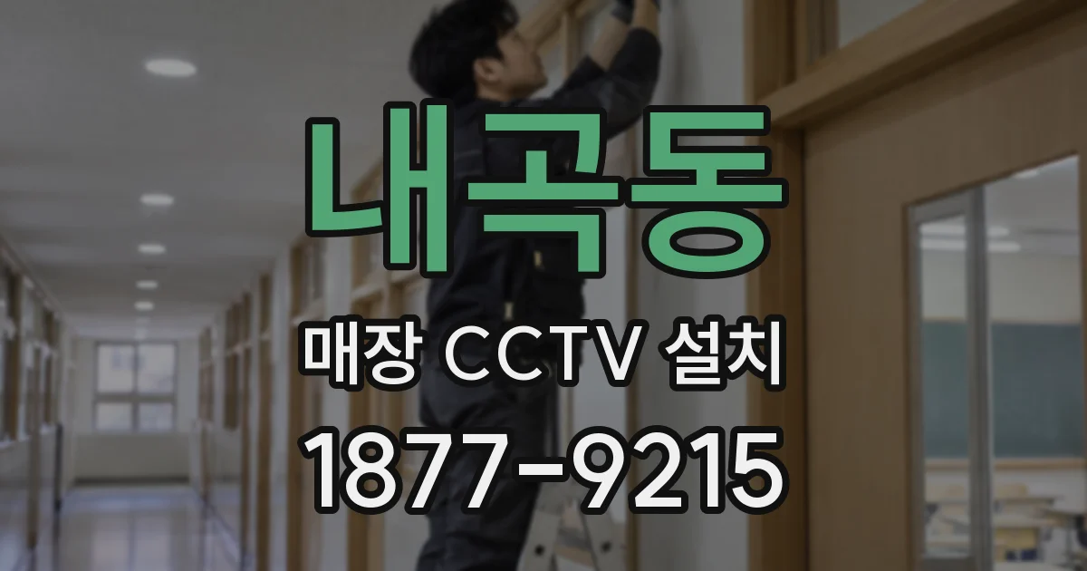 내곡동 매장 CCTV 설치