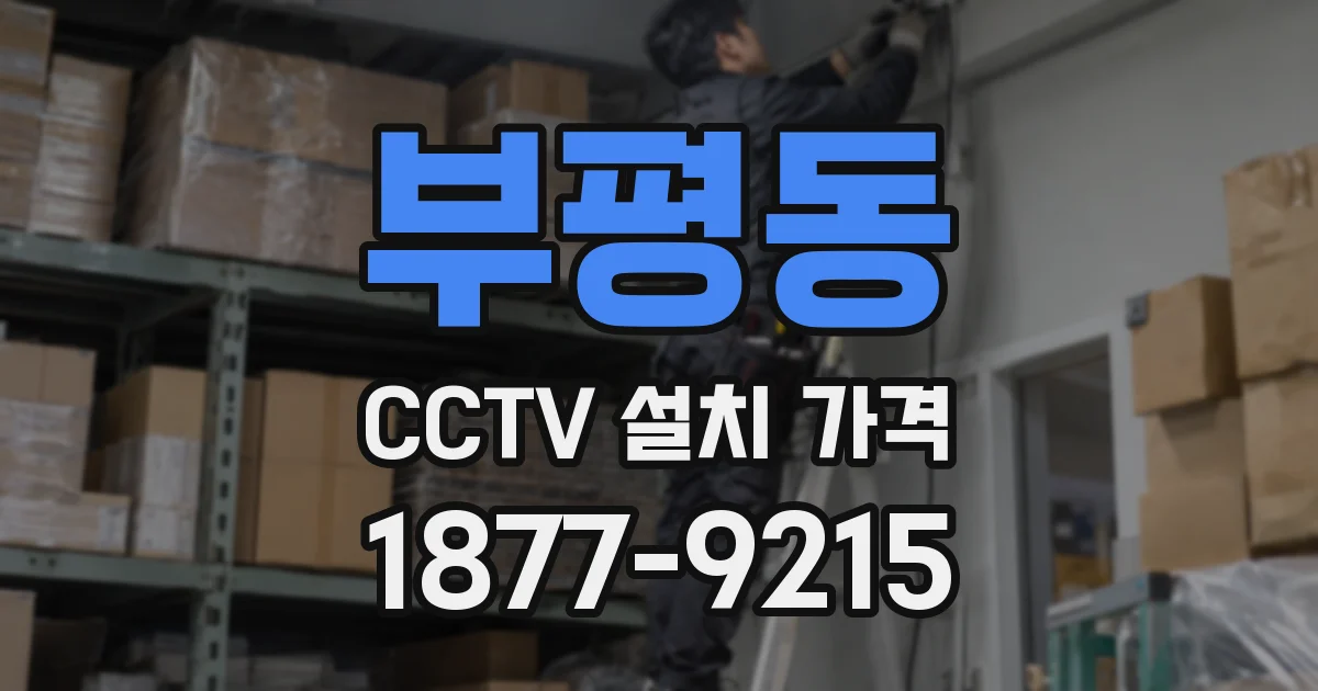 부평동 CCTV 설치 가격