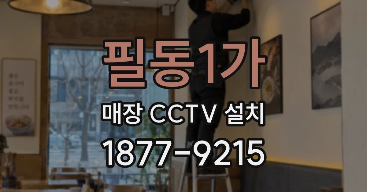 필동1가 매장 CCTV 설치