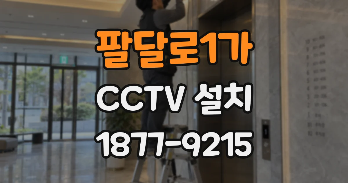 팔달로1가 CCTV 설치