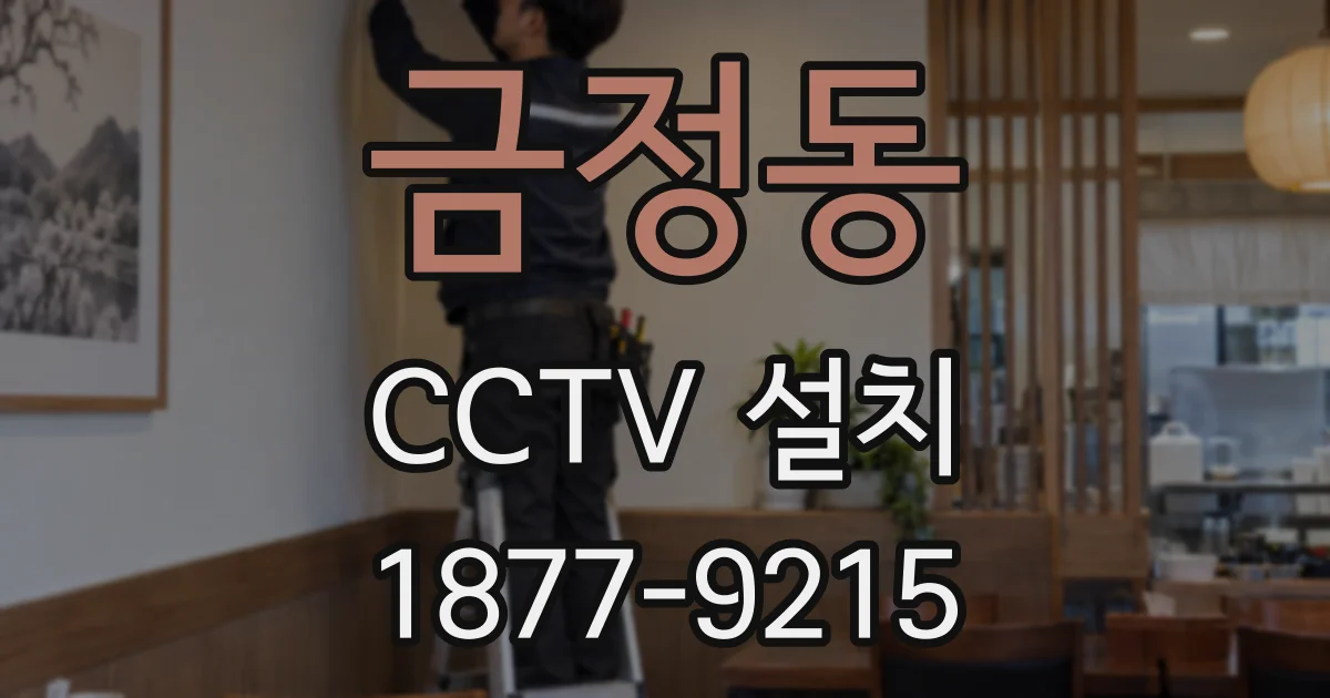 금정동 CCTV 설치