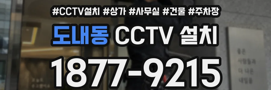 도내동 CCTV 설치