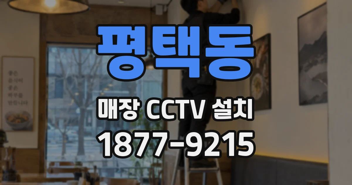 평택동 매장 CCTV 설치