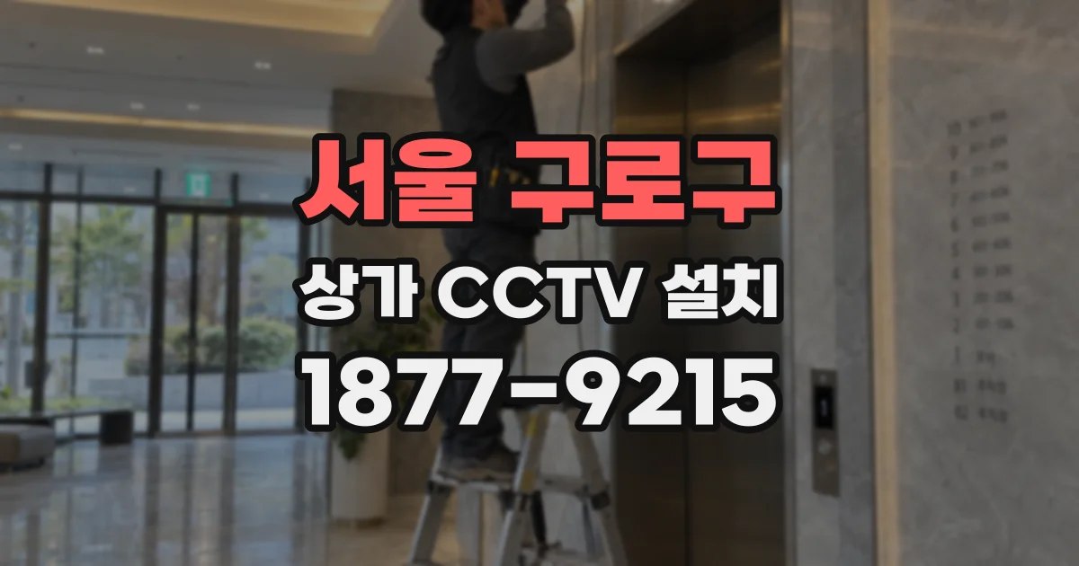 서울 구로구 상가 CCTV 설치