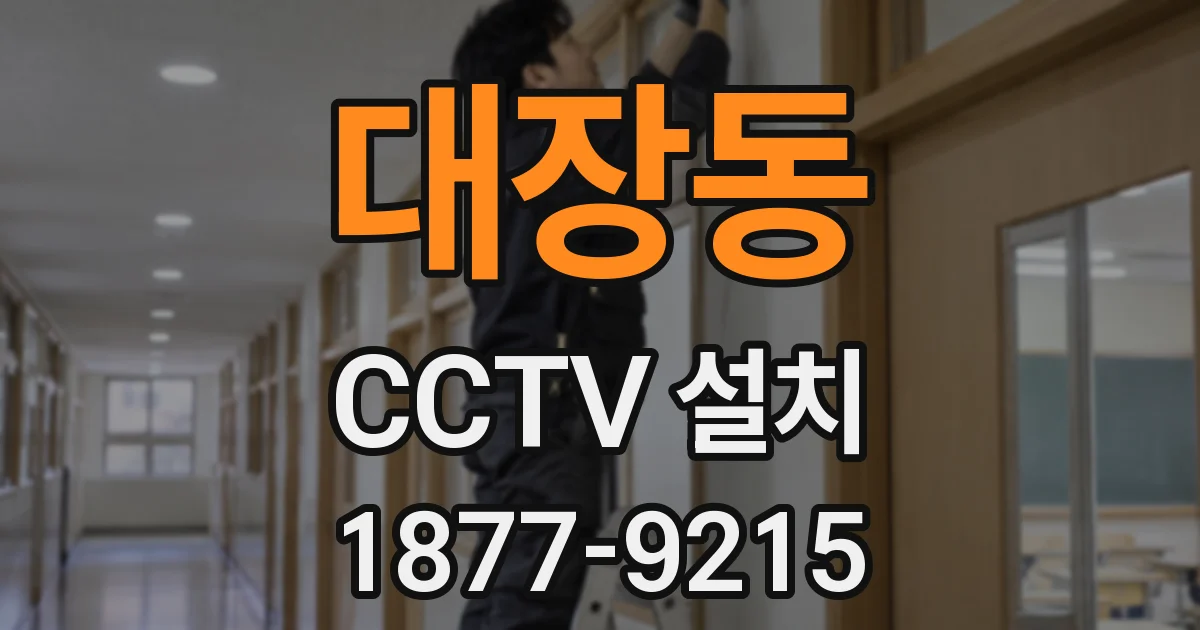 대장동 CCTV 설치