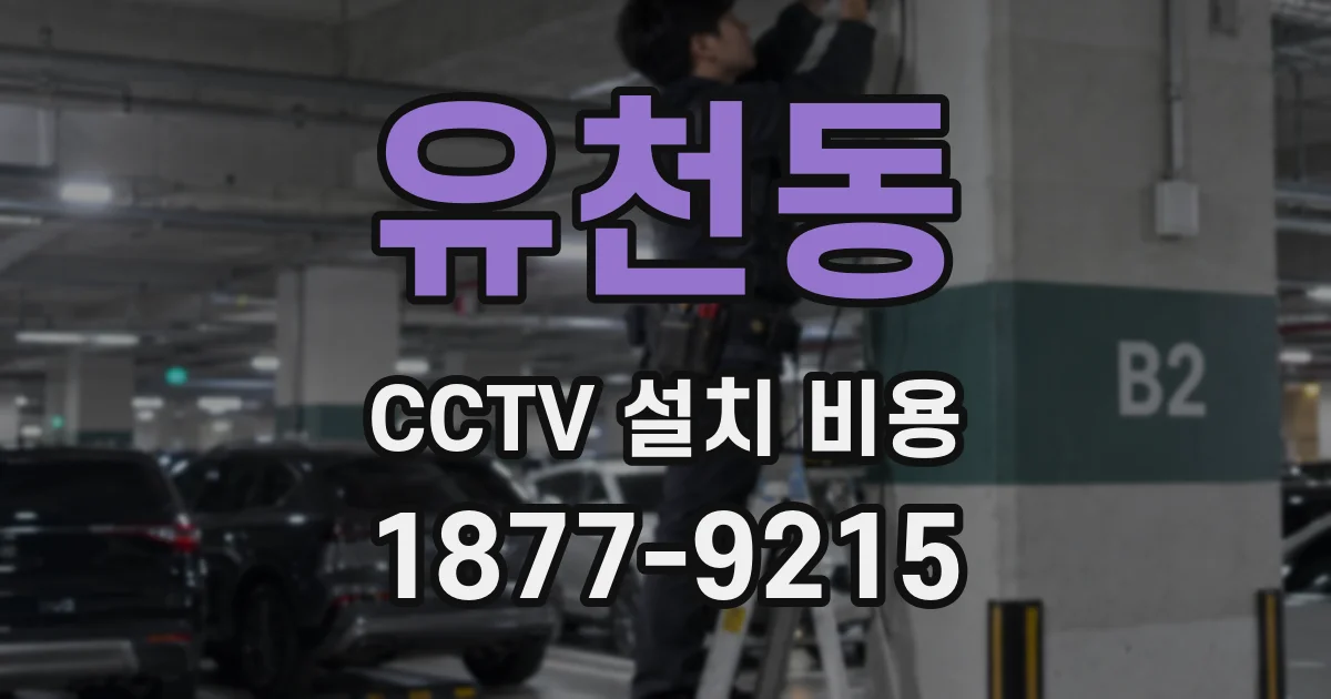 유천동 CCTV 설치 비용