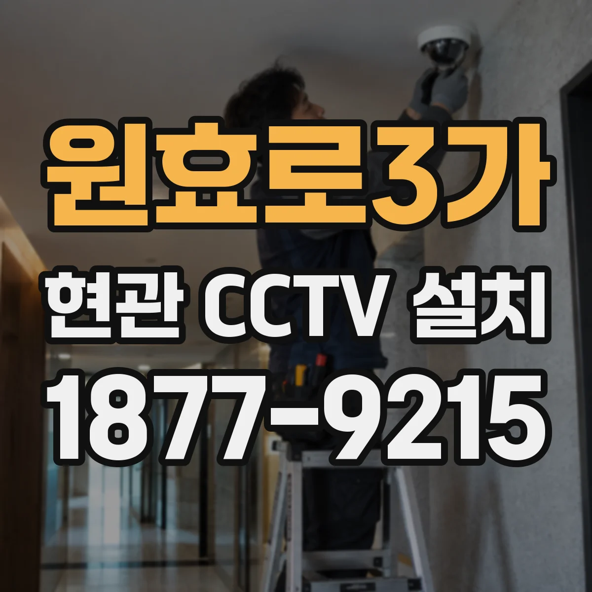 원효로3가 현관 CCTV 설치