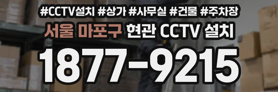 서울 마포구 현관 CCTV 설치