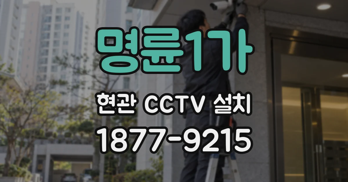 명륜1가 현관 CCTV 설치