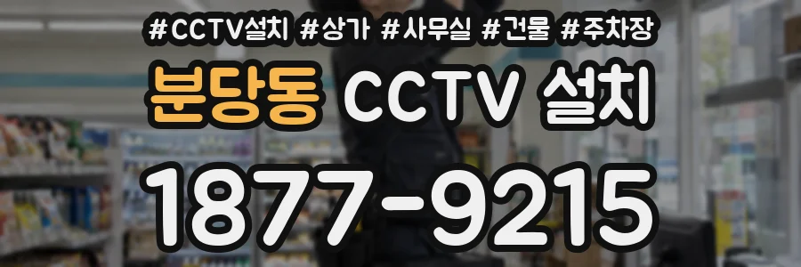 분당동 CCTV 설치