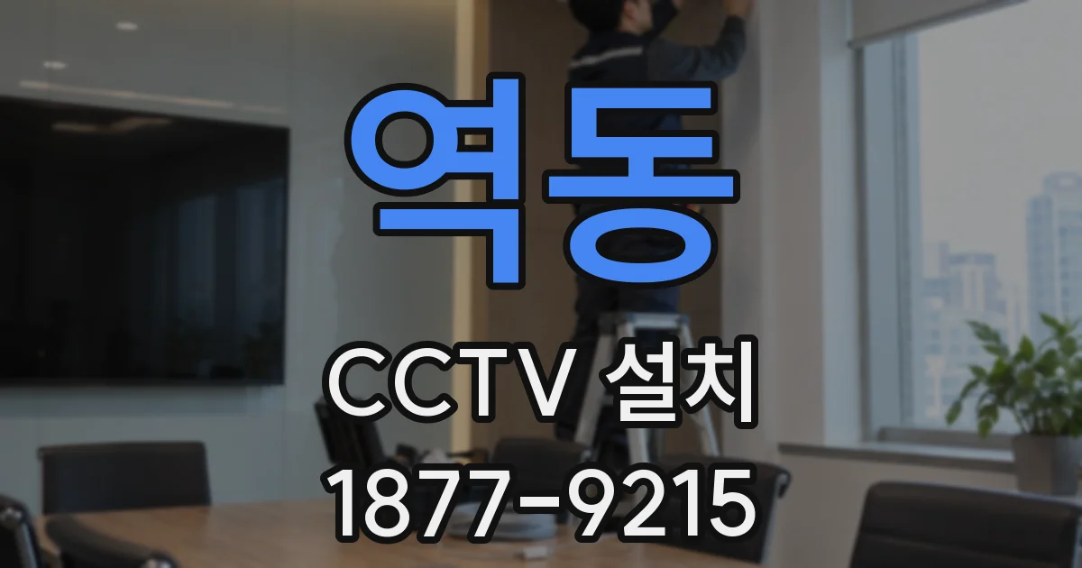 역동 CCTV 설치