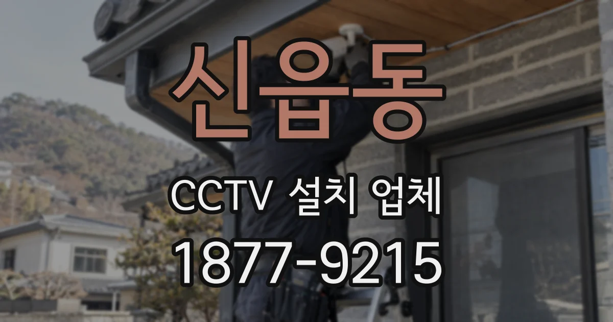신읍동 CCTV 설치 업체