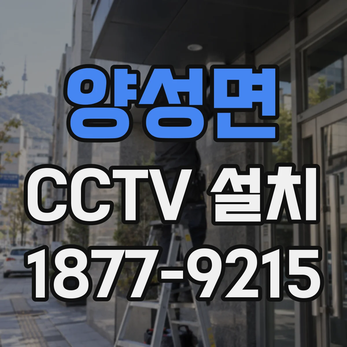 양성면 CCTV 설치