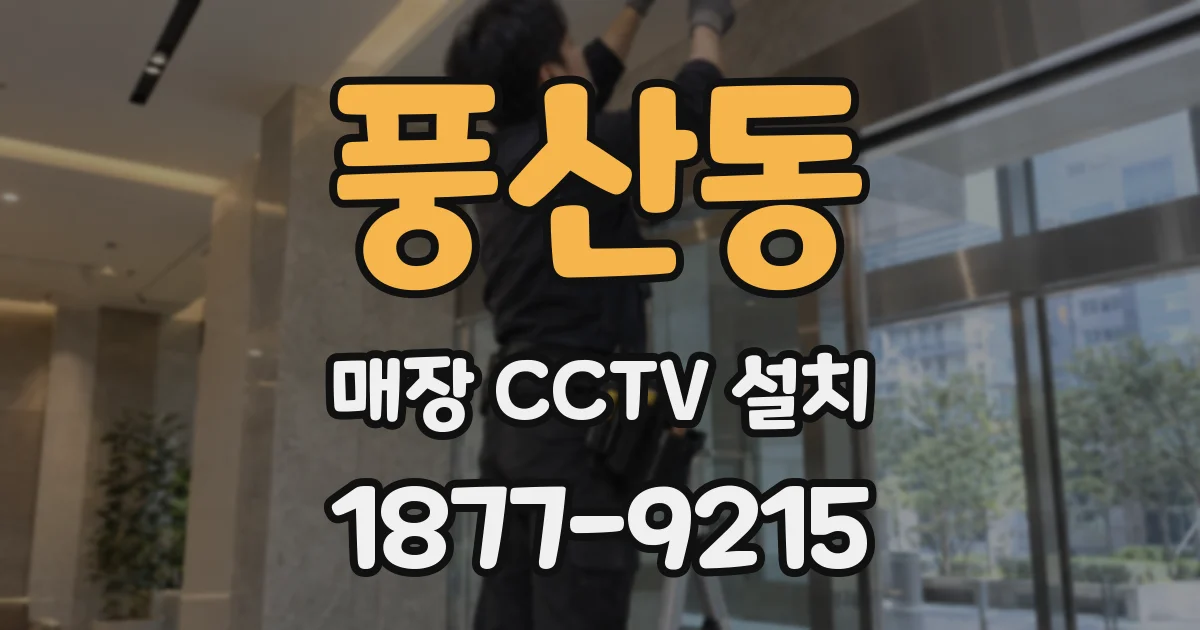 풍산동 매장 CCTV 설치