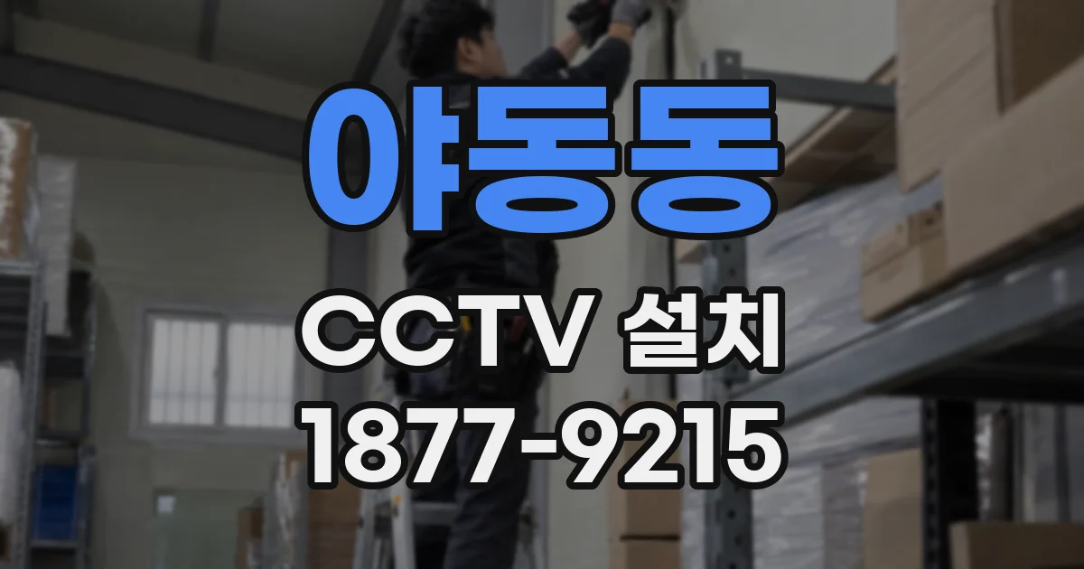 야동동 CCTV 설치